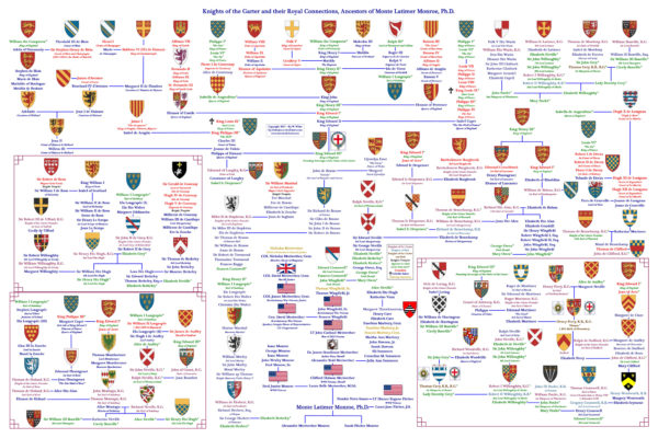 A large family tree of different countries