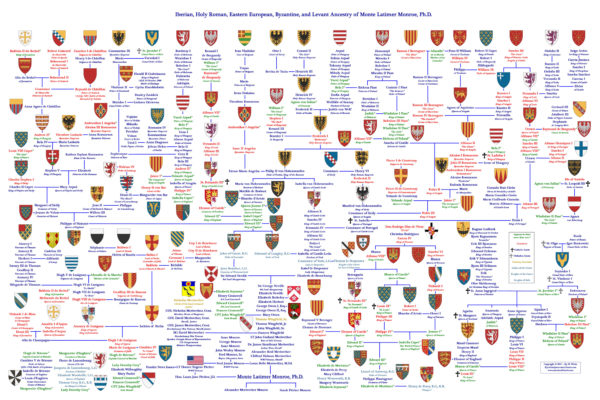 A large family tree of military branches and insignia.