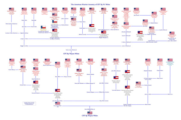 A family tree with flags of the united states.